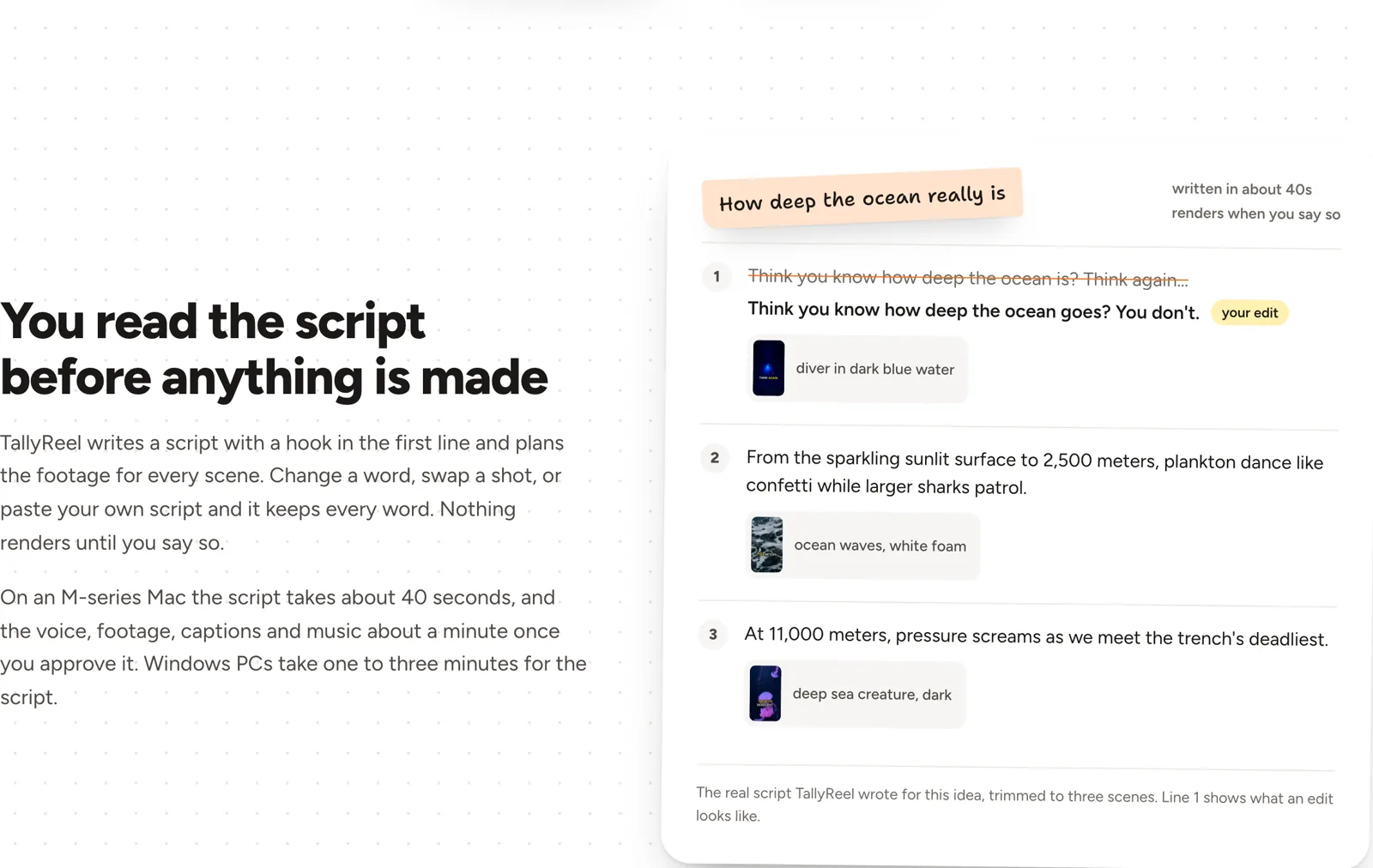 TallyReel shows the script it wrote, with one line edited, before anything renders